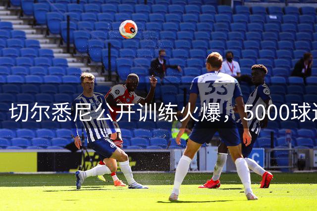 切尔悉尼公开训练火爆，5000球迷见证蓝军备战新赛季