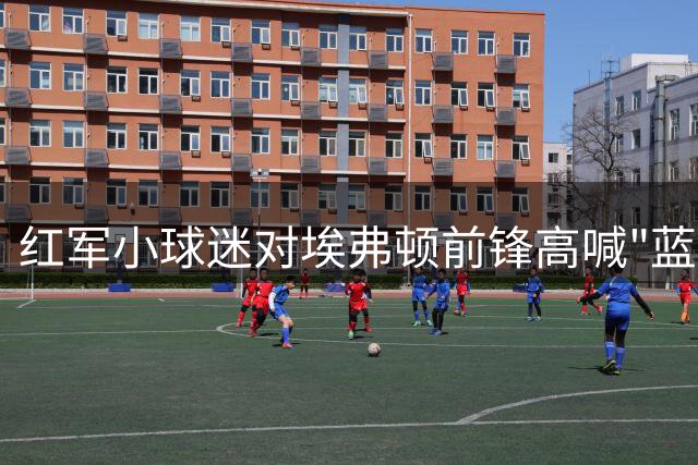 红军小球迷对埃弗顿前锋高喊"蓝白废物