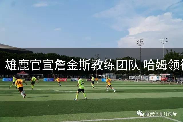 雄鹿官宣詹金斯教练团队 哈姆领衔七人助教团